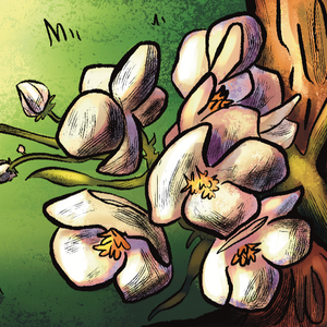 Ch. 1 - Page 25