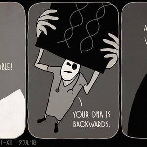 Error XIII: The DNA