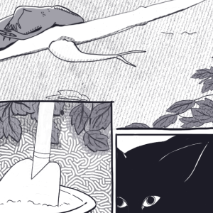 Beauty can do no wrong