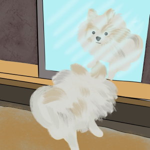 Mini Episode: Mirror Doggy