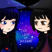 The Life of Wizard
