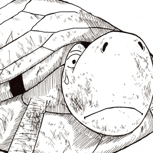 UMA HORA A CA&Ccedil;A, A OUTRA O CA&Ccedil;ADOR 