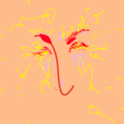 m u l t i c o l o u r e d