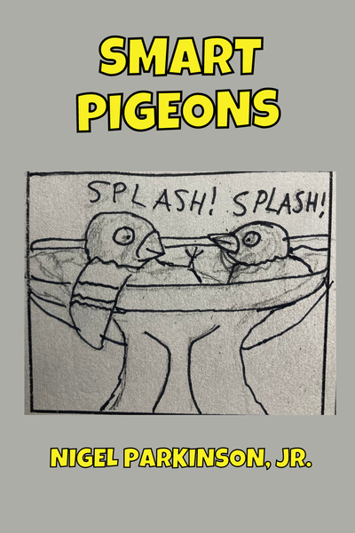Smart Pigeons