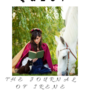 Deluxe Edition- Akiyama Quest: The Journal of Irene Summerset