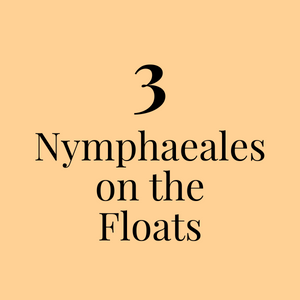 3. Nymphaeales on the Floats, pt. 2