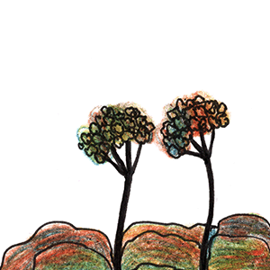 Soft-spoken optimist plant