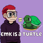 EmK Is A Turtle