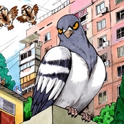 Gennady the Pigeon