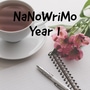 NaNoWriMo Year 1