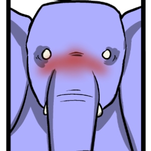 The Elephant in the Room