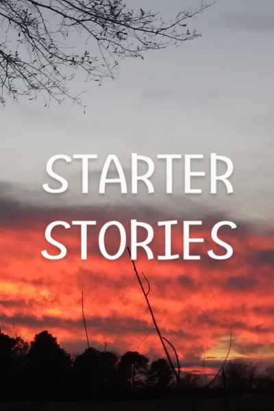 Starter Stories