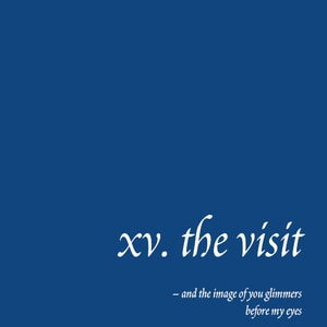 xv. the visit