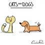 Cats and Dogs