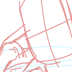 Rejected pose