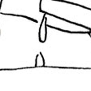 Water is not Automatic