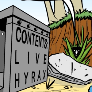 Stranger in a Strange Land