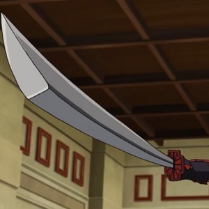 Sword wielder