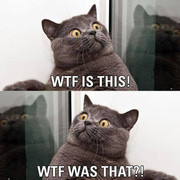 THIS STUPID WORLD/ LOVELY BOYS