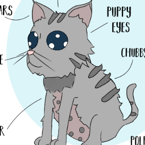 Cat-astrophically Cute