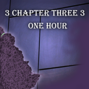 3 - One Hour