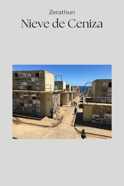 Nieve de Ceniza