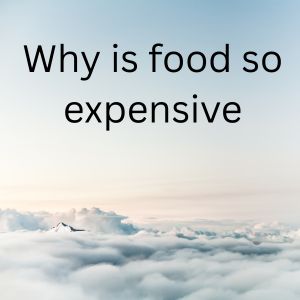 Why is food so expensive