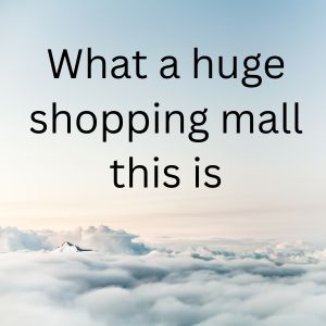 What a huge shopping mall this is
