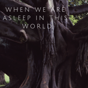 When we are asleep in this world