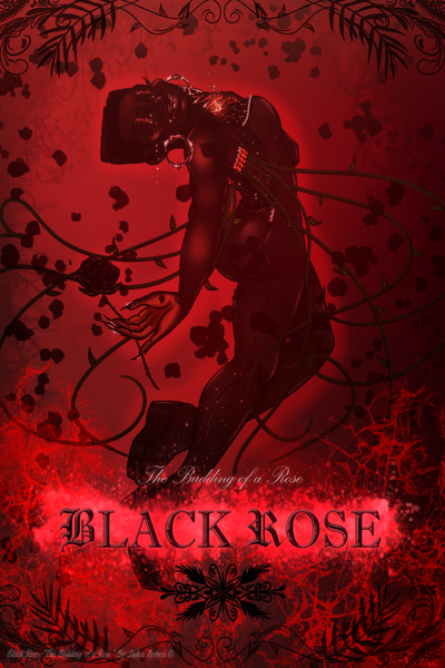 Black Rose: The Budding of a Rose.