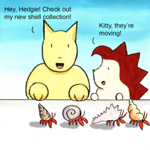 Hermit Crabs!