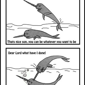 Narwhal Problems