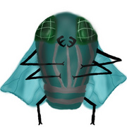 house-fly 