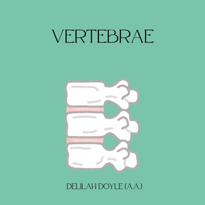 VERTEBRAE 