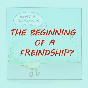 The beginning of a friendship?
