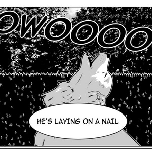 #11 - The Dog and the Nail