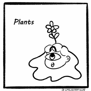 Plants