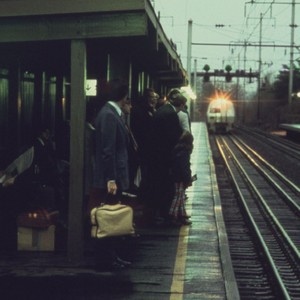 "It must be cruel, only to be kind."