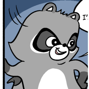 Raccoon's Honour