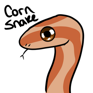 Corn Snek