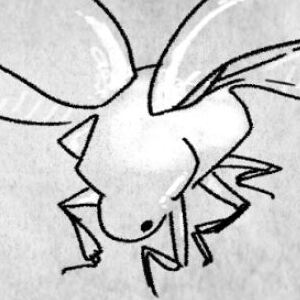 Journal Entry 1 + Update