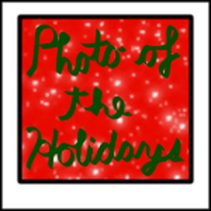 No. 12 Photo of the Holidays