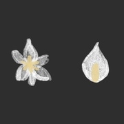 Blossoming Lilies