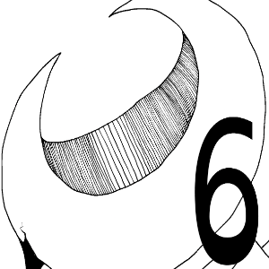 Chapter 2 page 6