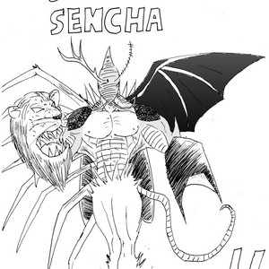 Sencha vs Sencha