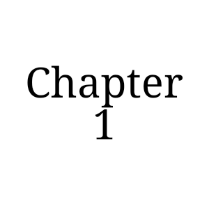Chapter 1
