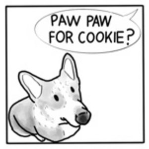 Corgsploitation