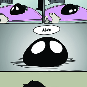 Why are you alive?