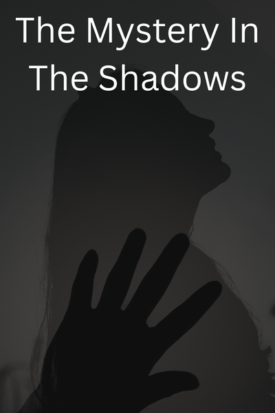 The Mystery In The Shadows
