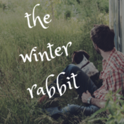 winter rabbit concept drawings 